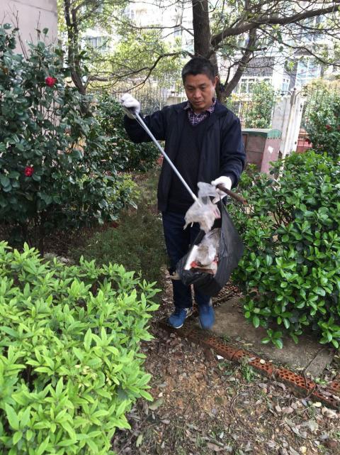 节造鼠害、预防疾病，构建和谐文化社区