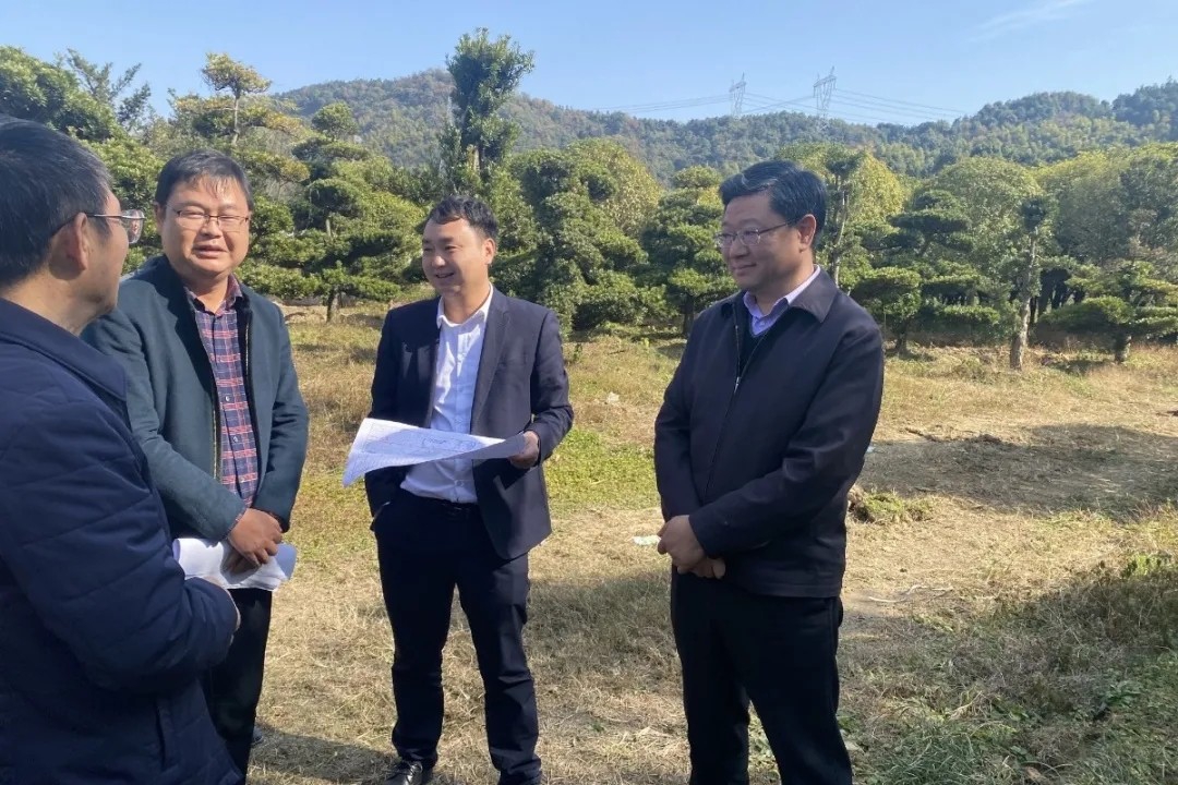 涂建平赴西二环高速项目和九洲高架东延项目现场调研领导工作